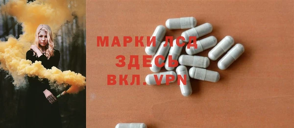 сатива Новозыбков