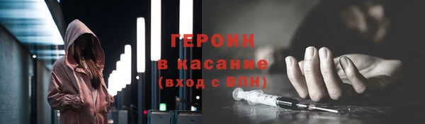сатива Новозыбков
